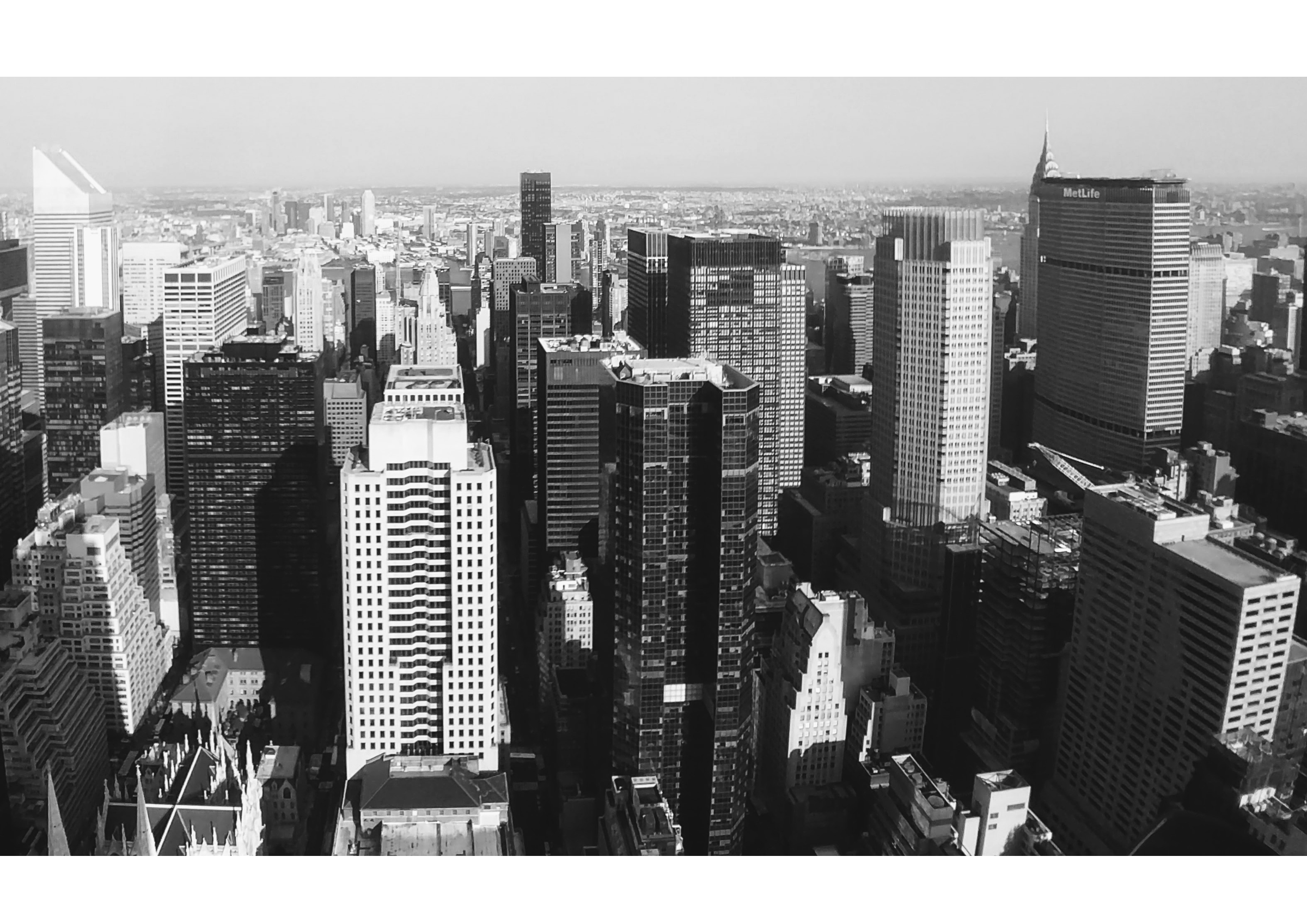 プライバシーポリシー